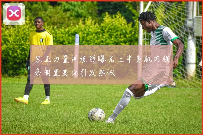 朱正力量训练照曝光上半身肌肉线条明显变化引发热议